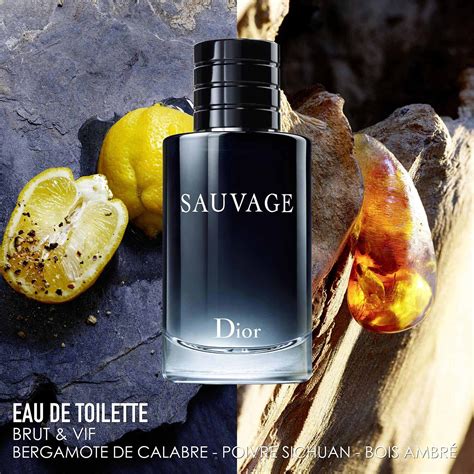 dior sauvage homme eau de toilette